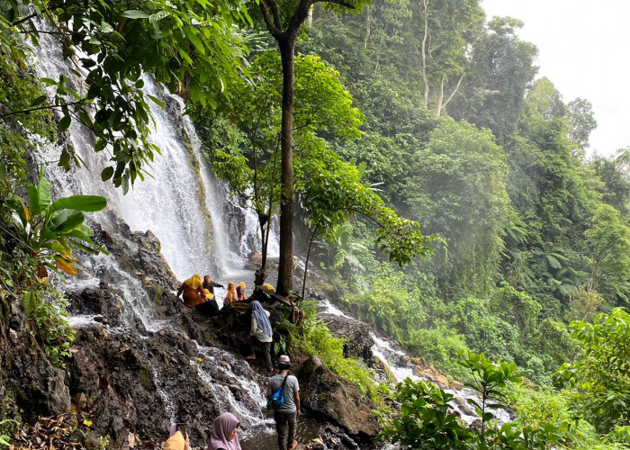  Air Terjun Puspa Dewi di Rejang Lebong, Wisata Unik dengan Dua Suhu Air Berbeda