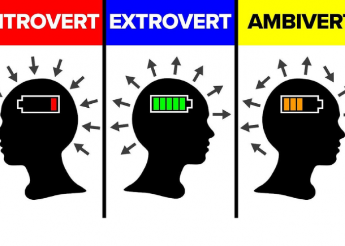 Mengenal Apa Itu Kepribadian Inrovert, Ekstrovert dan Ambivert