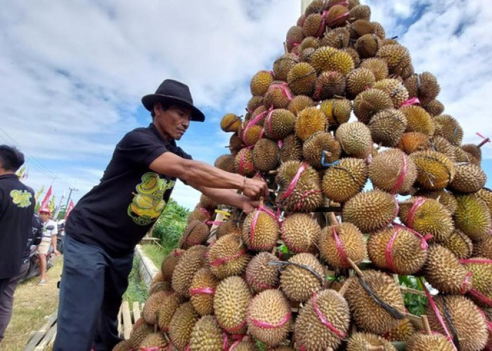 Festival Durian di Curup Seminggu Lagi