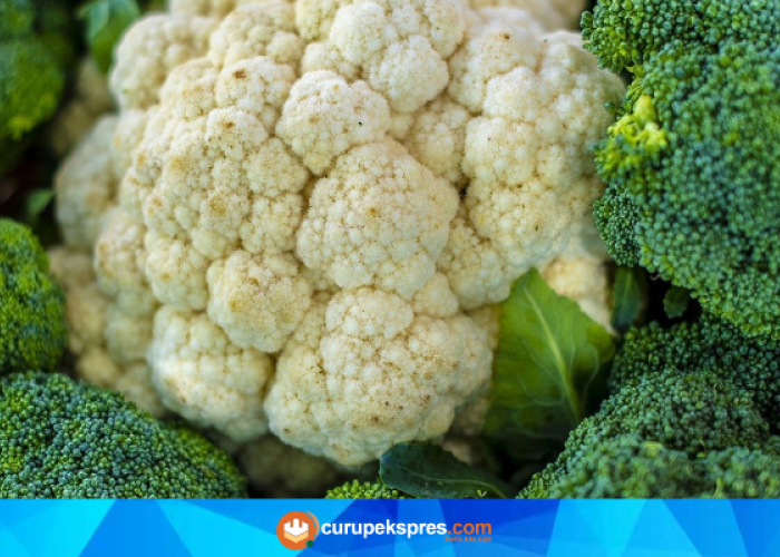 6 Fakta Menarik tentang Brokoli: Nutrisi, Kesehatan Tulang, Kanker, dan Kesehatan Mata!