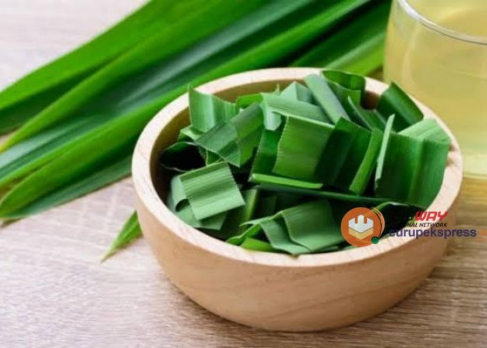 Manfaat Menakjubkan Daun Pandan untuk Kesehatan!