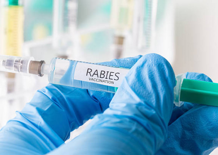 Inilah Alasan Kenapa Orang yang Kena Rabies Takut Air