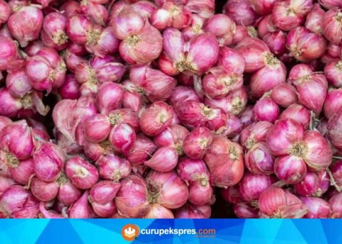 Dianggap Limbah Tak Berguna, Ternyata Ini Manfaat Kulit Bawang Merah untuk Kesuburan Tanaman