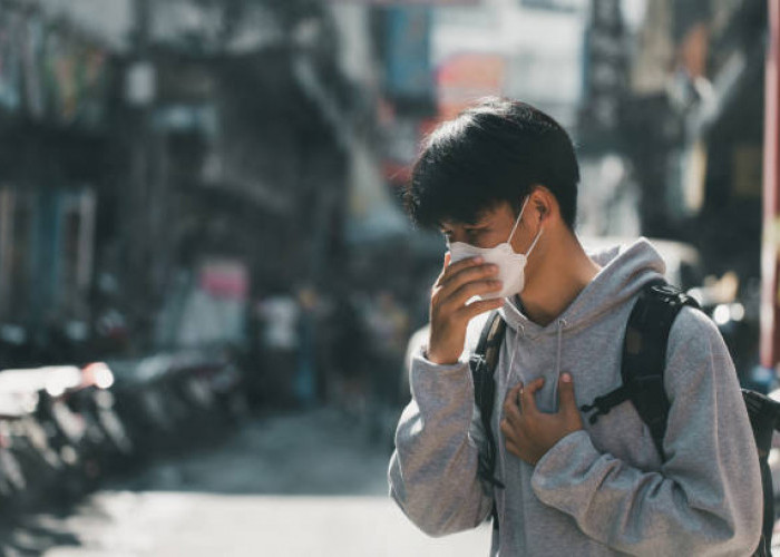 Polusi Udara Bisa Sebabkan Penyakit Jantung, Simak Faktanya