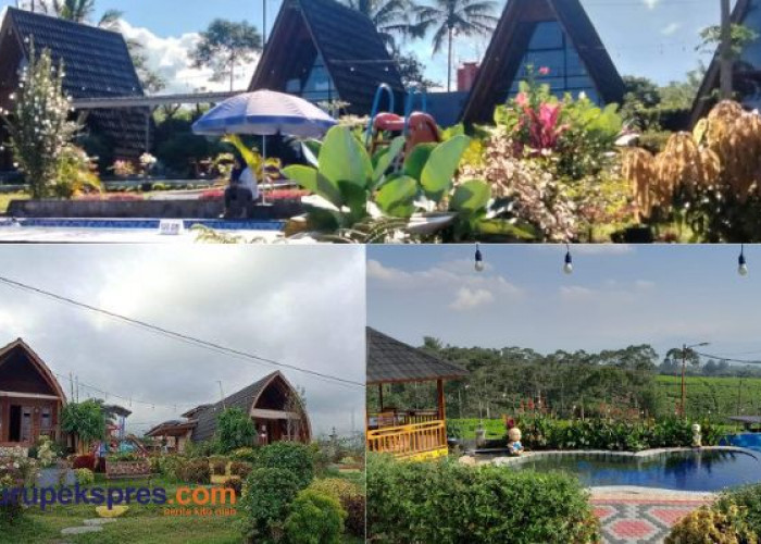 Villa Barat Wetan Kepahiang Tempat Menginap dengan Nuansa Kebun Teh