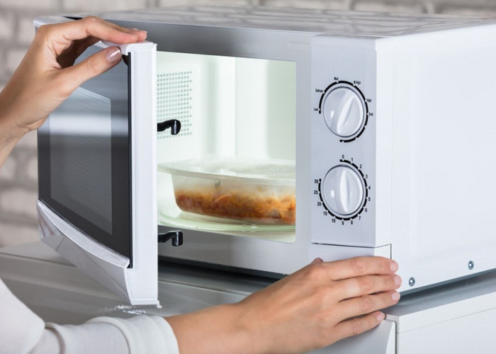 Panduan Lengkap: Tips Memilih Microwave yang Tepat untuk Anda