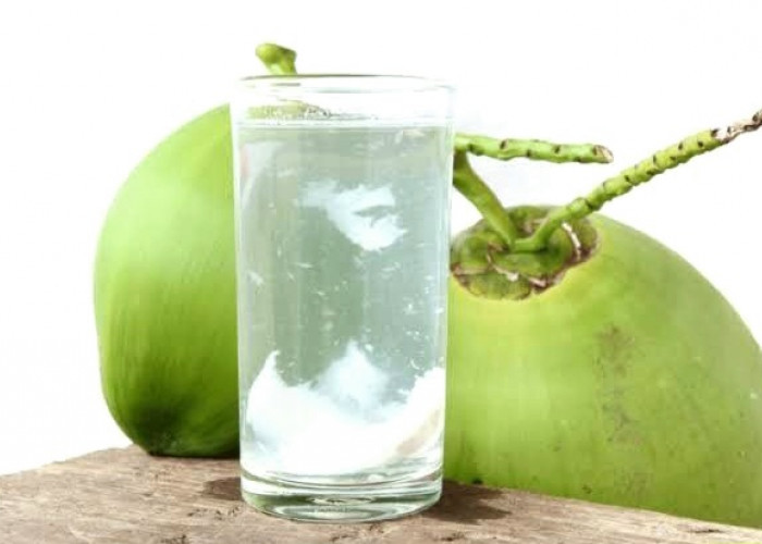 Air Kelapa Disimpan di Kulkas Tahan Berapa Lama? Simak Cara Menjaga Kesegarannya