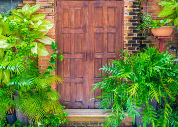 Tanaman Feng Shui untuk Pintu Depan Rumah