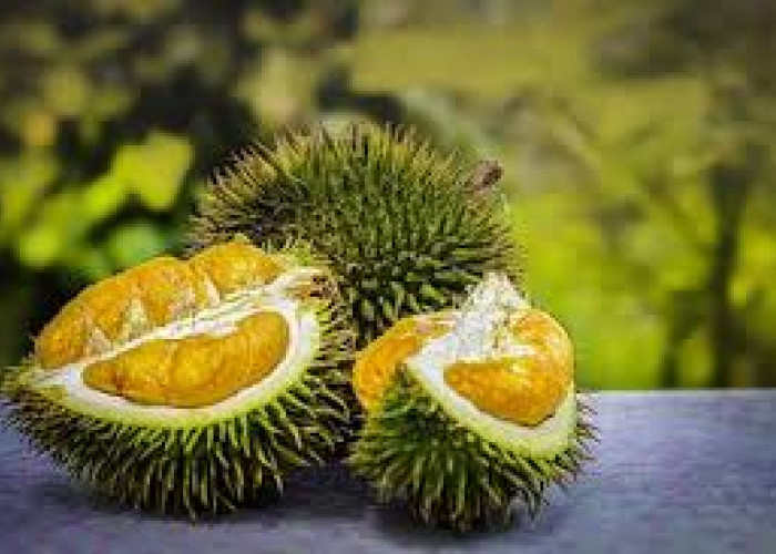 5 Resep Aneka Olahan Durian Enak dan Bikin Nagih