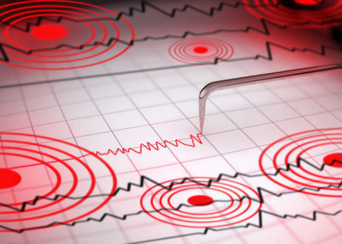 Gempa Bumi Magnitudo 6.1 Guncang Parigi Moutong Sulteng