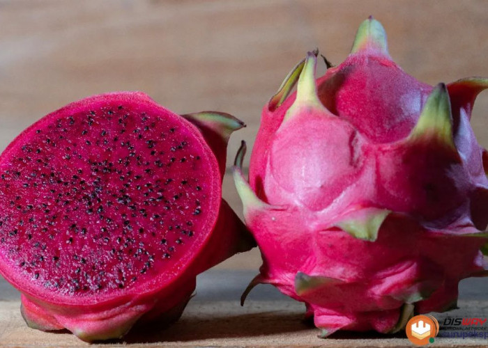  Buah Naga untuk Ibu Hamil yang Jarang Diketahui