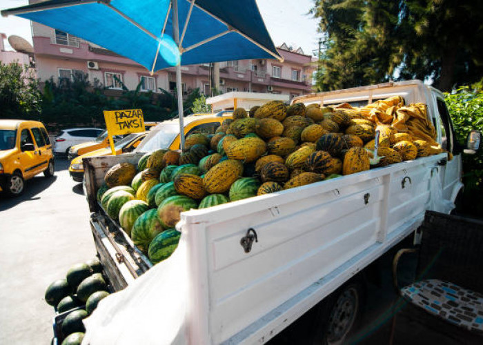 Rekomendasi Mobil Pick Up yang Cocok untuk Usaha