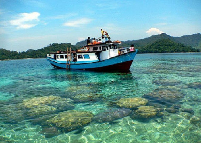 Objek Wisata Ratusan Habitat Lumba-lumba di Teluk Kiluan