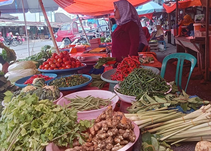 Harga Cabai Merah Mendadak Pedas, Ini Harganya Perhari Ini!