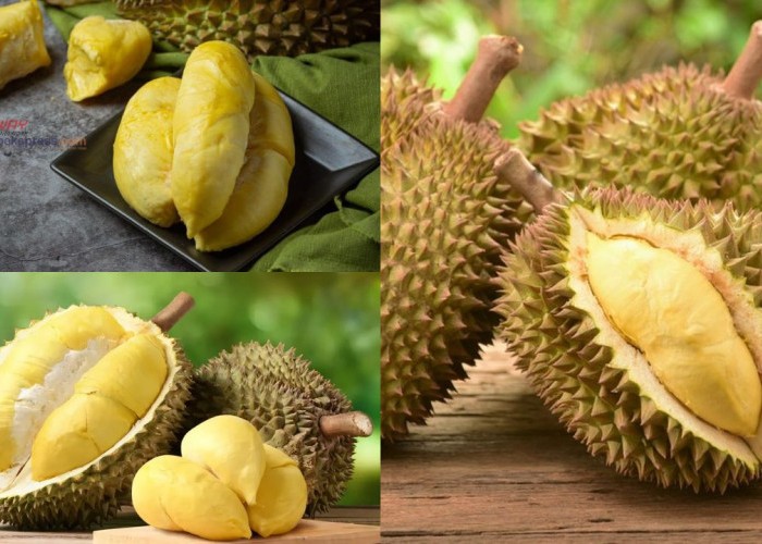 Menguak Rahasia di Balik Popularitas Festival Durian di Indonesia