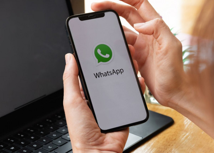 Mengelola Pesan dengan Efisien: Tips WhatsApp untuk Wanita Aktif