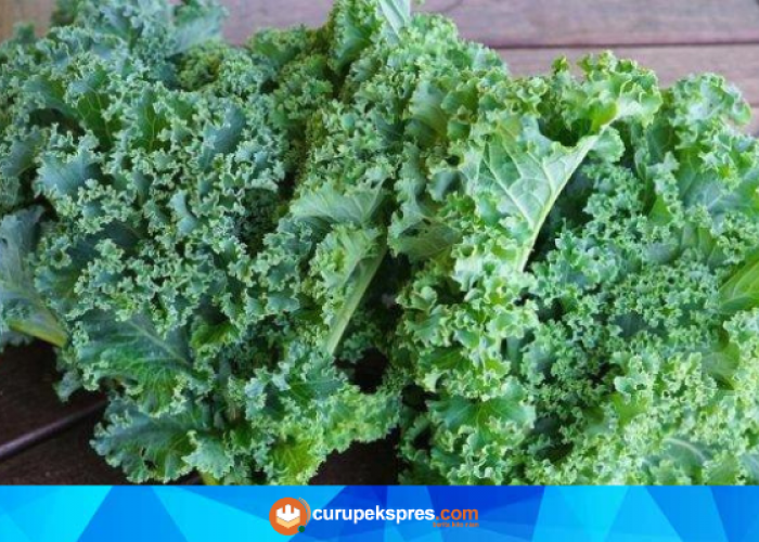 Kale: Sayuran Super yang Baik untuk Kesehatan Mata dan Tulang