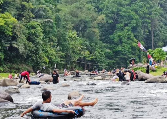 Sungai Trokon di Curup, Jelajahi Keindahan Alamnya