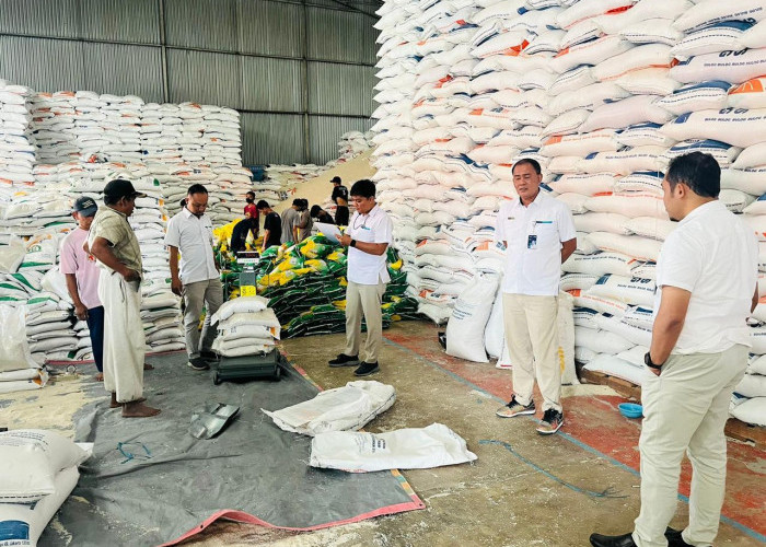 Serap Beras dan Jagung Petani, Bulog Rejang Lebong Butuh Penambahan Gudang Penyimpanan