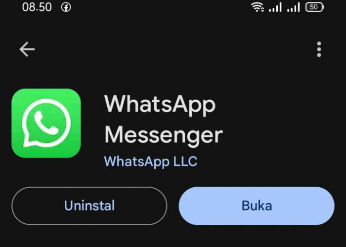 Inilah Fitur Terbaru WhatsApp di Tahun 2024, Ada Fitur Seperti Story Instagram!!