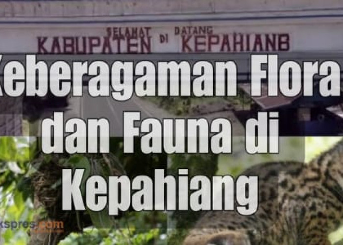 Mengenal Keberagaman Flora dan Fauna di Kepahiang