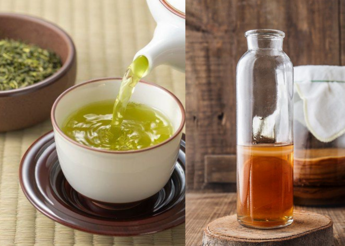 Sama-sama Sehat, Ini Perbedaan Teh Hijau dan Kombucha yang Jarang Diketahui