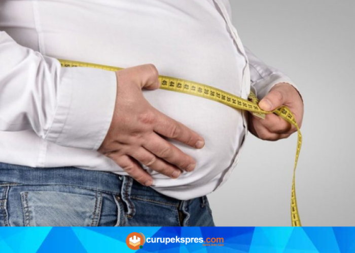 Mengenal Faktor-Faktor yang Memicu Timbulnya Obesitas pada Tubuh