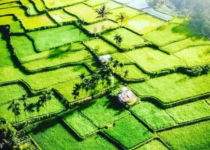 Desa Tetebatu Rekomendasi Liburan Akhir Tahun di Lombok Timur