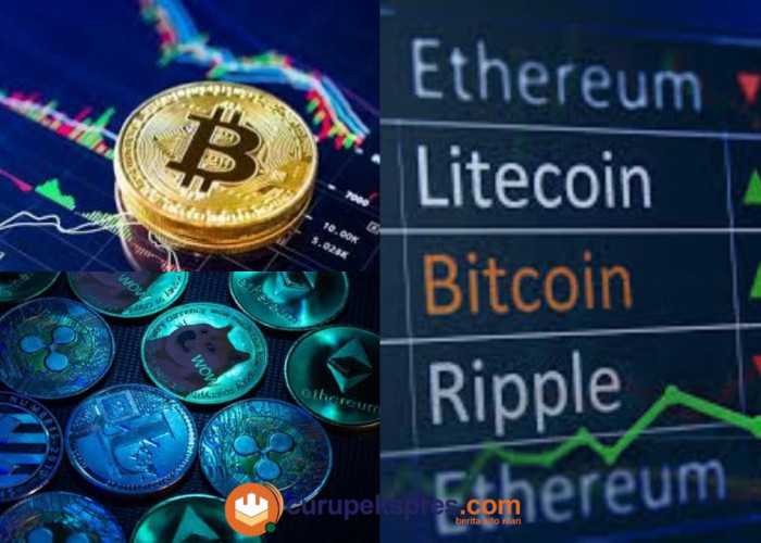 Perbedaan Altcoin dan Bitcoin: Mengenal Lebih Dalam Mata Uang Kripto