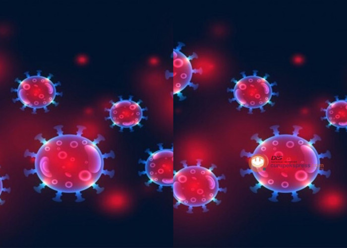 Heboh! Virus HMPV Sudah Masuk Indonesia, Berikut 4 Gejala Tanda Kamu Terinfeksi!