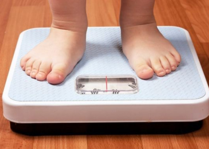 Rahasia Berat Badan Anak Ideal, Apakah Susu Tinggi Kalori Benar-Benar Diperlukan?