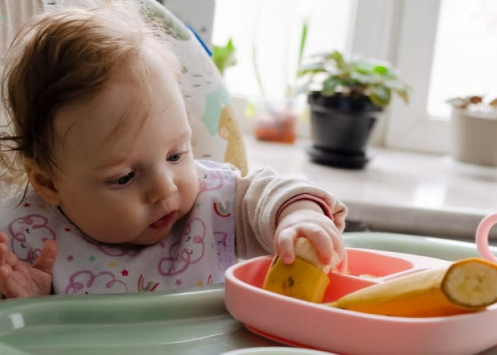 Rekomendasi Buah MPASI 9 Bulan agar Bayi Sehat, Aktif, dan Cerdas