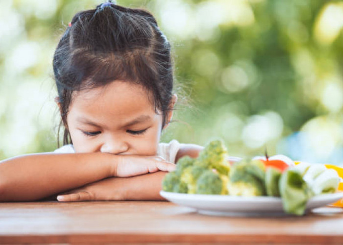  Penyebab Anak Tidak Mau Makan dan Cara Mengatasinya