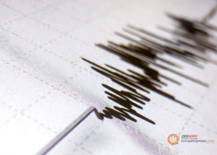 Viral! Gempa Bumi dengan Kekuatan Magnitudo 6.1 Guncang Wilayah Kabupaten Parigi Moutong Sulawesi Tengah