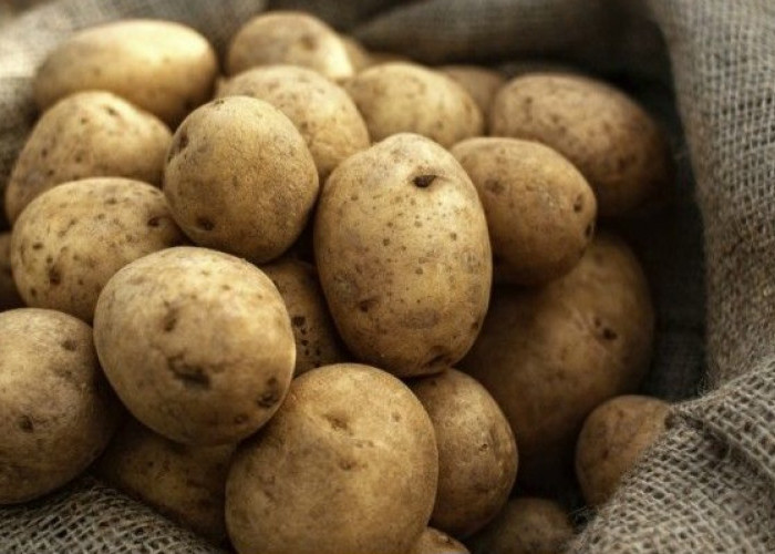 Murah dan Mudah! Ini Cara Manfaatkan Kentang untuk Kulit Glowing