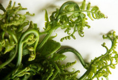 Mengenal Blue Matcha, Minuman Kekinian Bebas Kafein yang Menenangkan