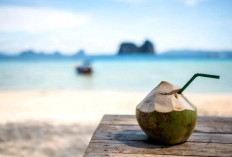 Efek Minum Air Kelapa Saat Berbuka Puasa, Apa Kata Dokter?