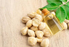  Khasiat Minyak Kemiri untuk Kesehatan Rambut dan Kulit Secara Alami