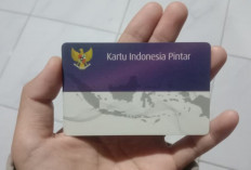Tips melakukan pendaftaran Kartu Indonesia Pintar Kuliah agar Diterima, Cek Disini!