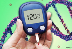   3 Tanaman Herbal Ini Bisa jadi Penurun Gula Darah 