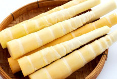  Manfaat Rebung yang Sayang Dilewatkan untuk Menjaga Kesehatan