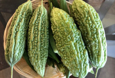 Kasus Diabetes Terus Naik, Ini Solusi Alami dari Makanan Sehari-hari!
