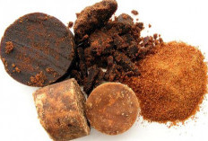 Sering Disamakan, Ternyata Ini Bedanya Gula Aren dan Gula Merah