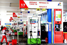 Kenaikan BBM Nonsubsidi Kian Tajam, Bagaimana Nasib Solar Subsidi dan Pertalite?