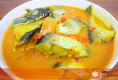 Selain Enak, Ini Khasiat Ikan Patin bagi Kesehatan Tubuh Manusia 