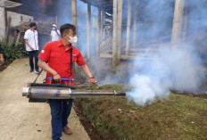  Kasus DBD di Curup Diklaim Menurun, Warga Tetap Waspada