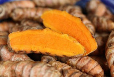 Rutin Minum Air Kunyit Mentah? Ini Manfaat Luar Biasa bagi Tubuh