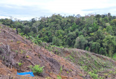  UU Pengaturan Reforma Agraria Buka Jalan Pemulihan Hak Masyarakat dalam Konflik Pertanahan