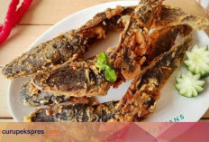 Manfaat Ikan Lele untuk Ibu Hamil, Salah Satunya Ini!