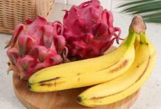  Puasa Nyaman Tanpa Gangguan Lambung, Hindari Buah Ini Saat Sahur